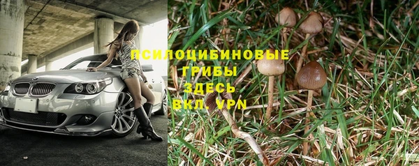 твердый Алексин