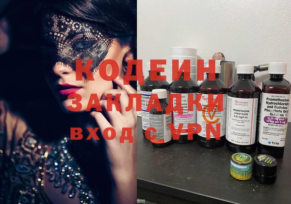 индика Алзамай