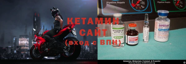индика Алзамай