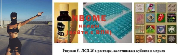 индика Алзамай