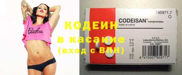 индика Алзамай