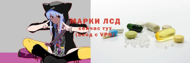 индика Алзамай