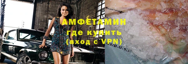индика Алзамай