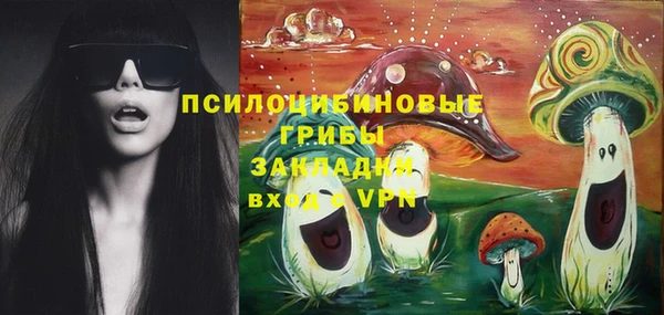 индика Алзамай