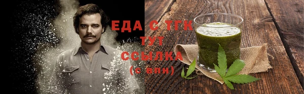 индика Алзамай