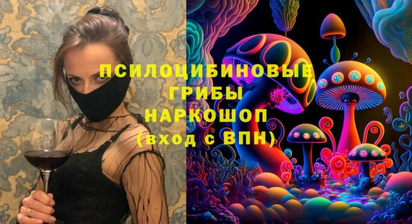 твердый Алексин