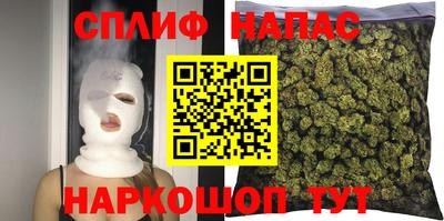 бошки Гагарин