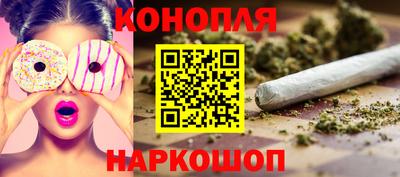 гидропоника Гатчина