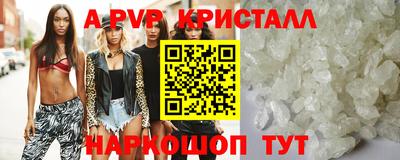 бошки Гагарин