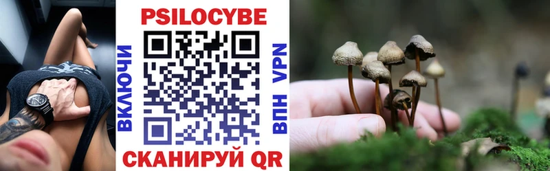 блэк спрут ONION Курчалой Псилоцибиновые грибы Magic Shrooms