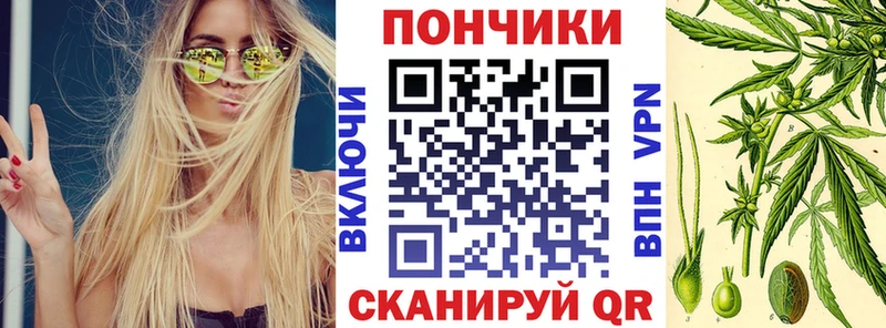 Каннабис сатива  Курчалой 